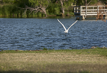 Calaveras Lake